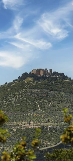 Ajloun Castle Jordan